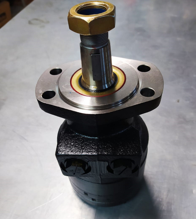 MOTOR HIDRAULICO